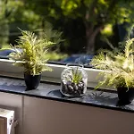 Visiet - In Apartment *